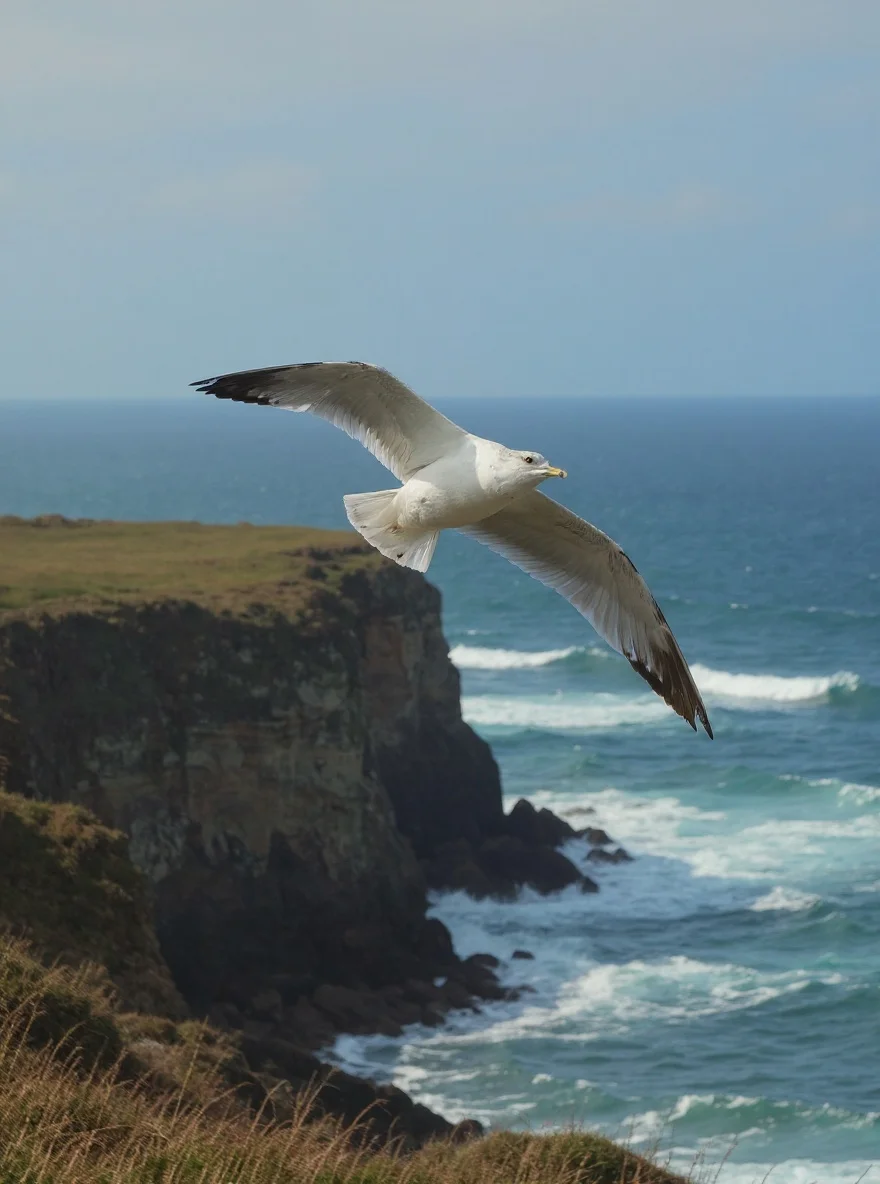 Gulls fly above cliffs and ocean waves in a strong sea breeze.
