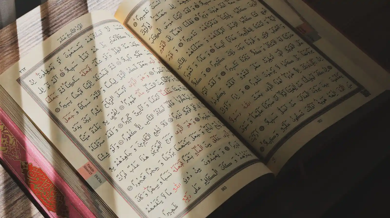 Open Quran in warm natural light
